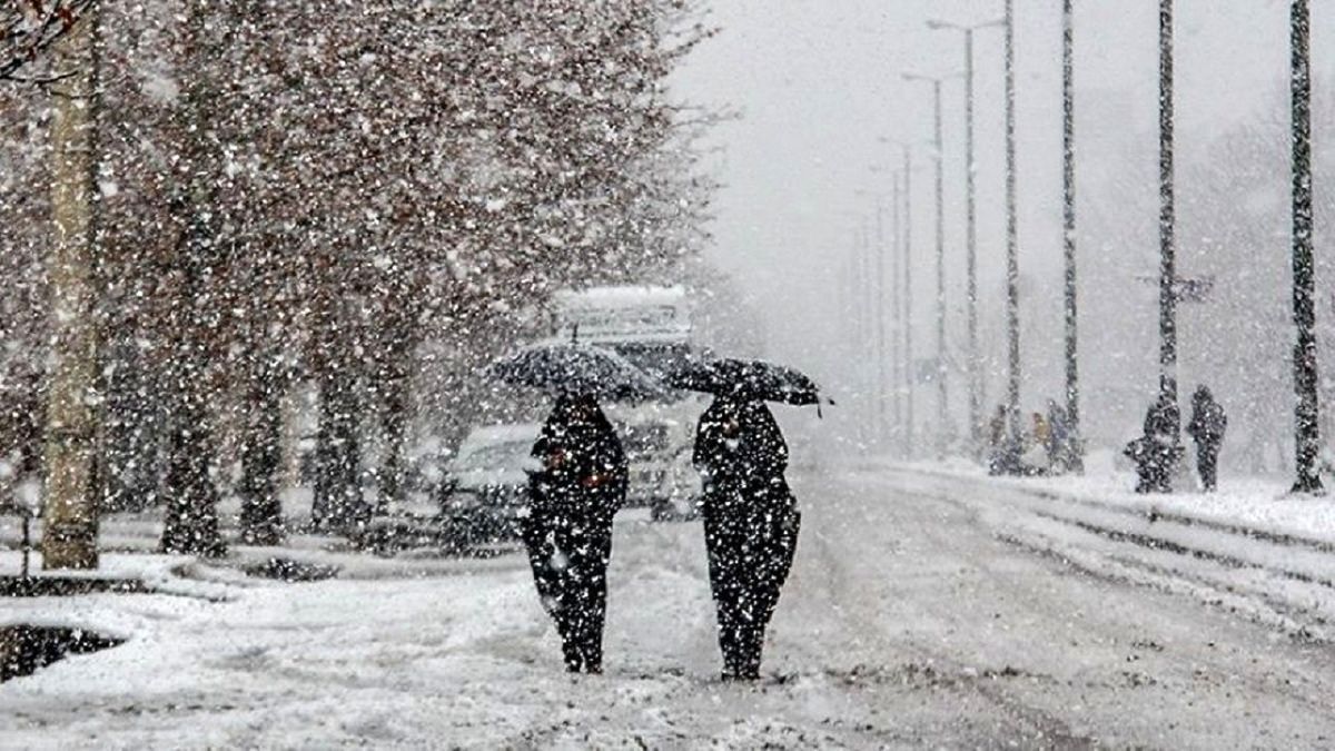 ویدئو| اولین برف زمستانی در تهران (۳ دی ۱۴۰۱)