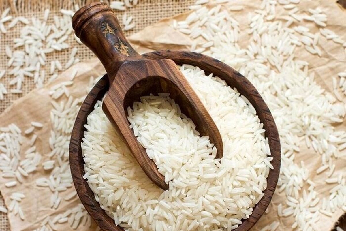 ماجرای ارسال برنج ایرانی به روسیه چیست؟