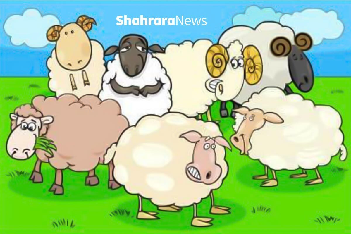 سرگرمی با بگرد و پیدا کن | گوسفندان در مزرعه