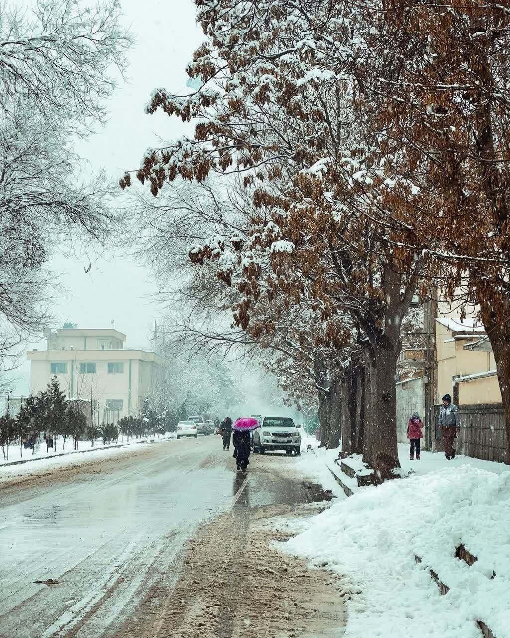 عکس‌هایی زیبا از یک روز برفی در کابل