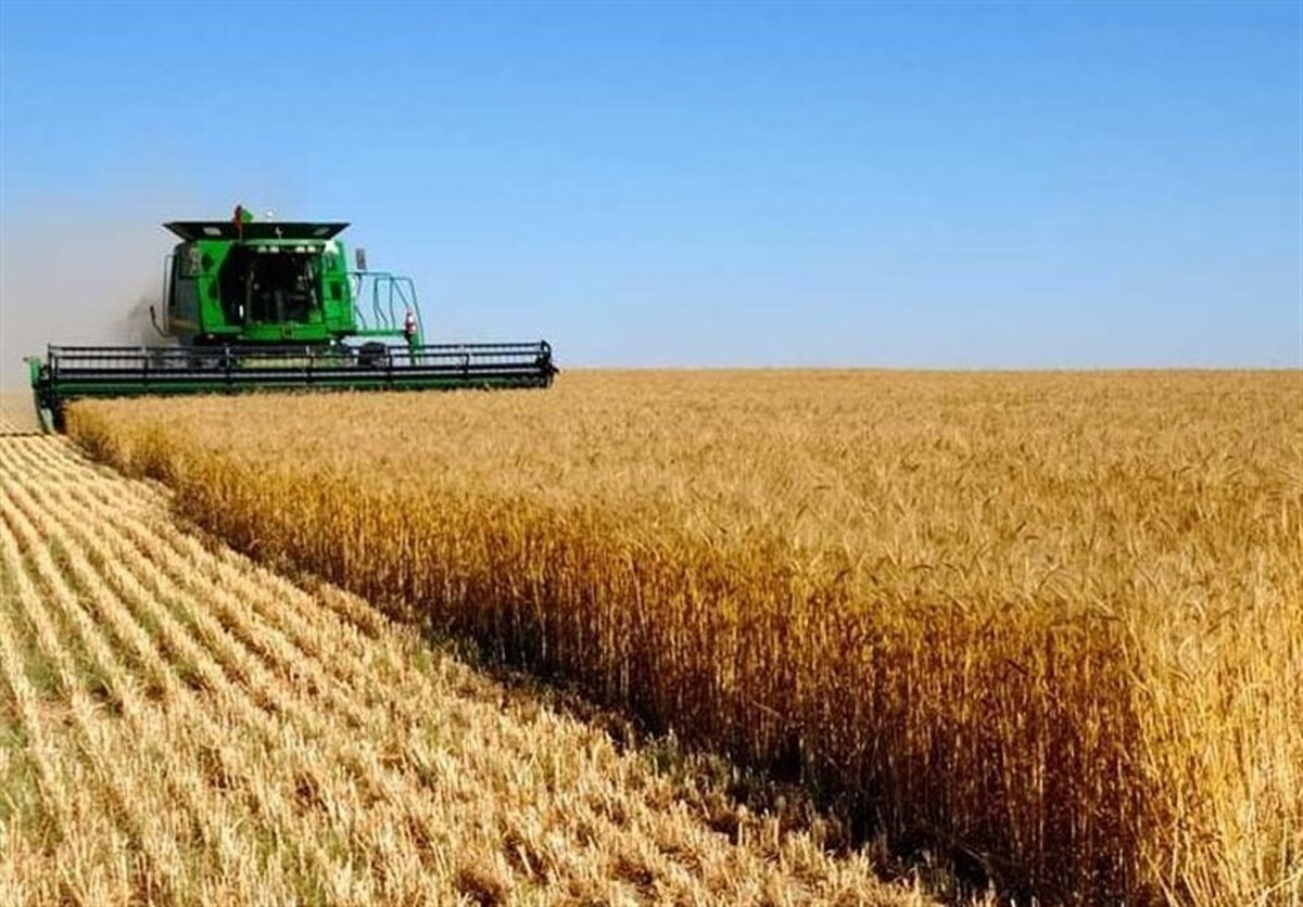 قیمت کود شیمیایی کشاورزان را سرگردان کرده است| وزیر کشاورزی تصمیم قاطع بگیرد
