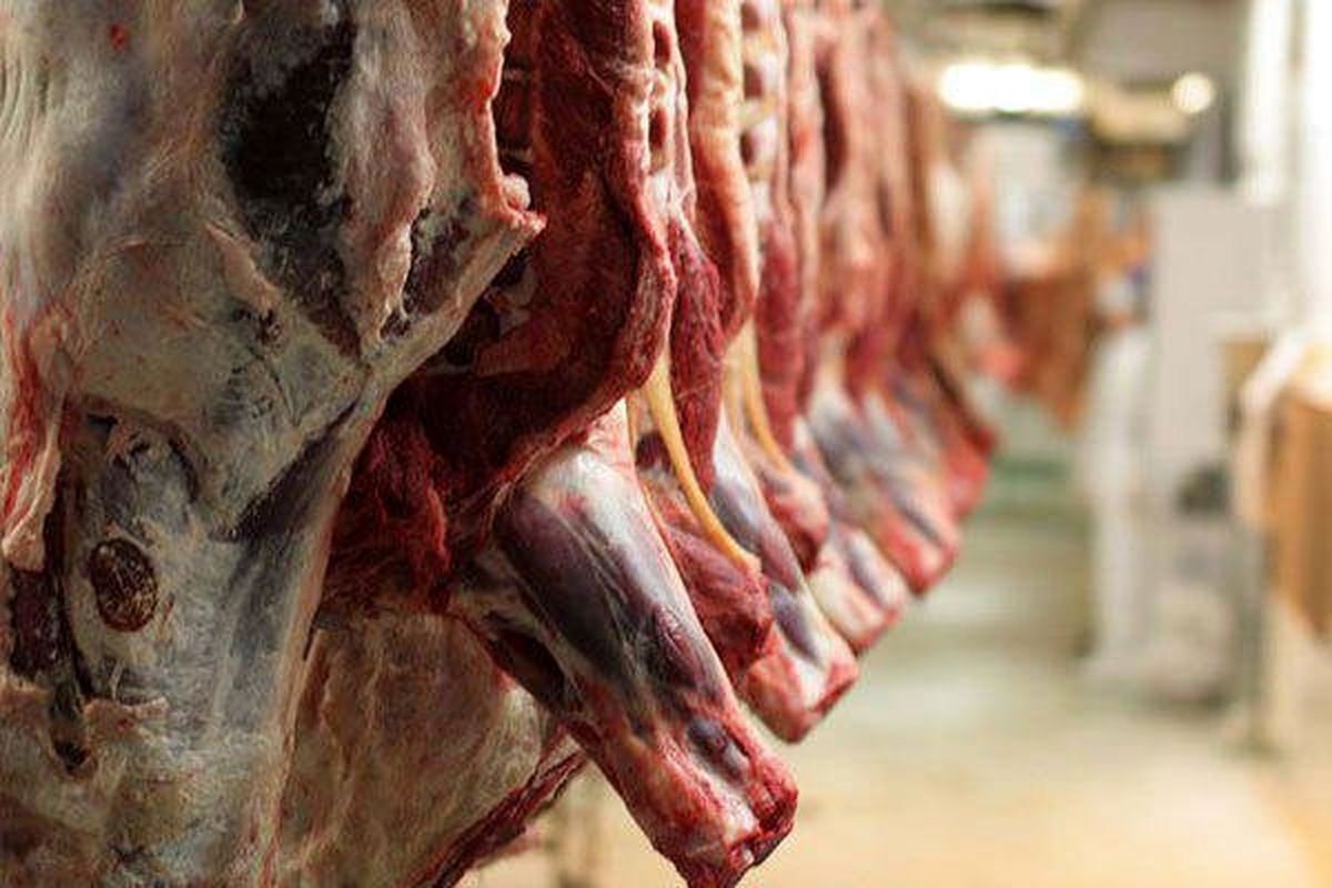 وعده دولت برای کاهش قیمت گوشت قرمز | واردات، تولید کننده را متضرر می‌کند