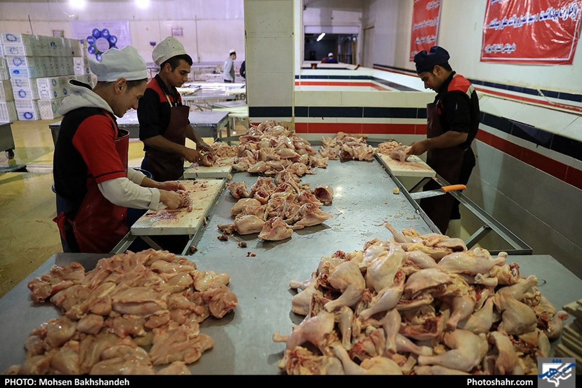 ذخیره ۳ هزار و ۸۰۰ تن گوشت مرغ مورد نیاز شب عید در خراسان رضوی