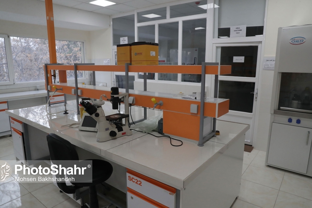راه‌اندازی پارک علم و فناوری دانشگاه فردوسی مشهد | ایجاد زیست‌بوم نوآوری شرق کشور