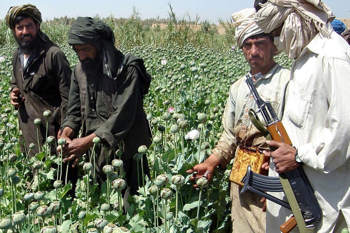 سازمان ملل: ۸۰ درصد مواد مخدر جهان در افغانستان تولید می‌شود