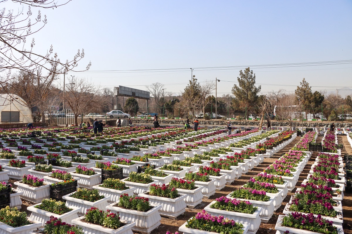 مدیران شهری و هنرمندان از جزئیات جشنواره استقبال از بهار ۱۴۰۲ در مشهد می‌گویند