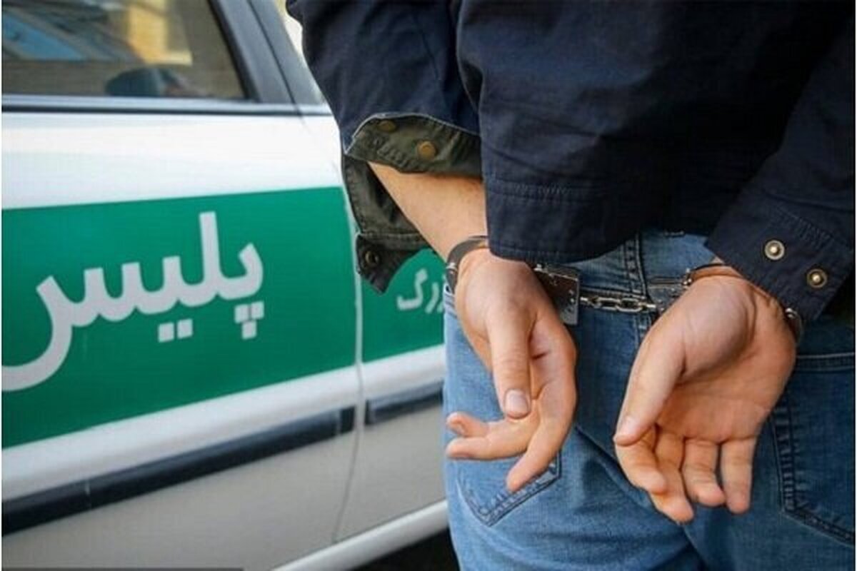 ضاربان خانم تهرانی مقابل مدرسه‌ای در تهرانسر دستگیر شدند+جزئیات