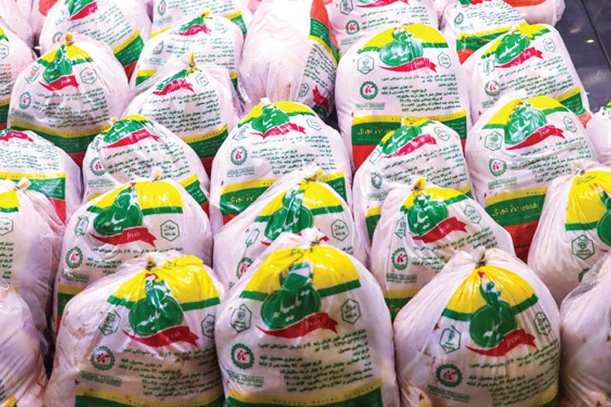 توزیع مرغ منجمد به قیمت مصوب در مشهد