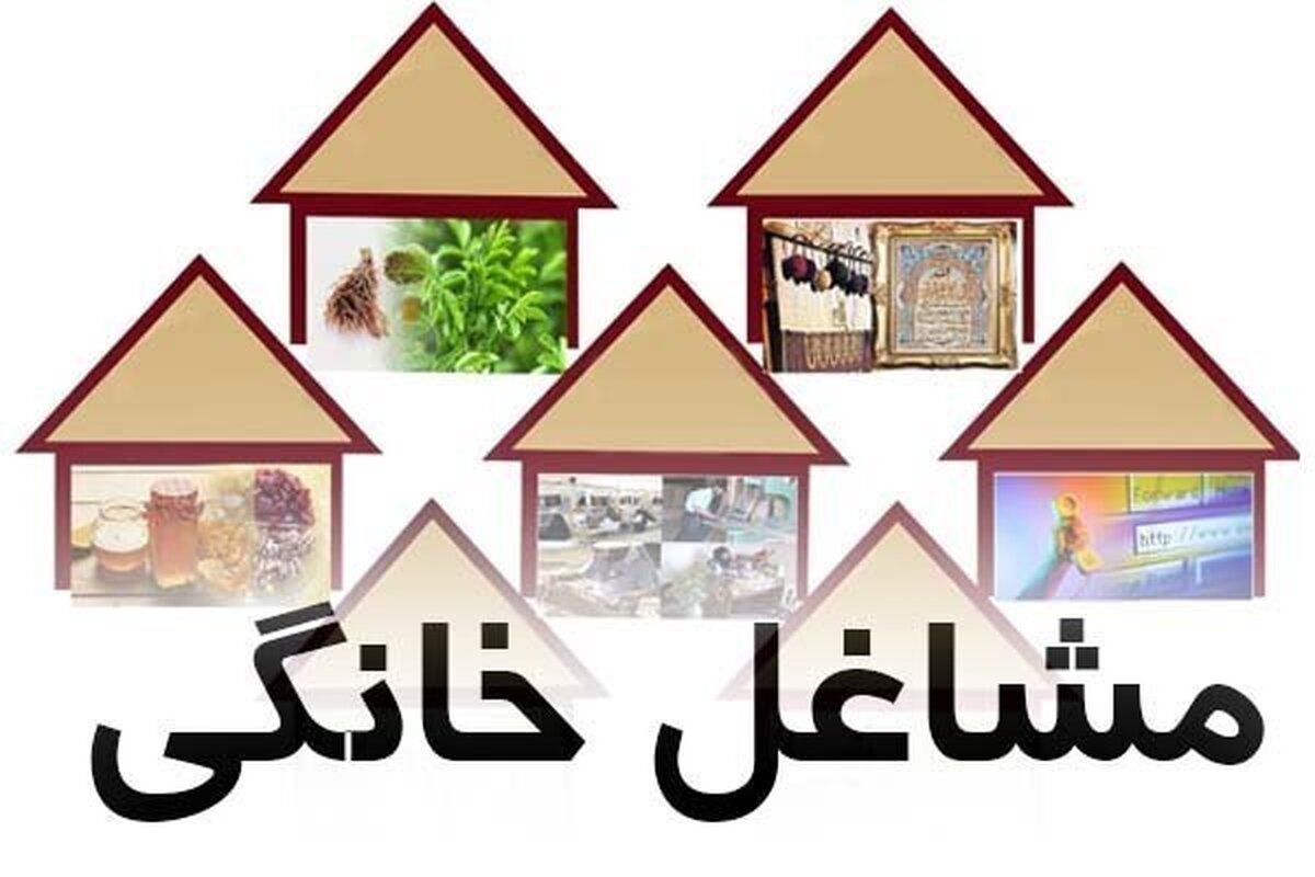 وزارت کار بیش از ۱۲۱ هزار مجوز مشاغل خانگی صادر کرد