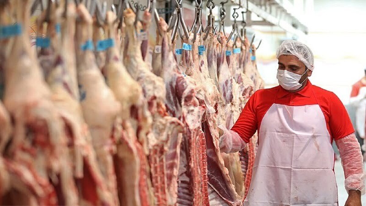 عرضه گوشت قرمز در کشتارگاه‌های رسمی کشور کاهش ۲۱ درصدی داشته است