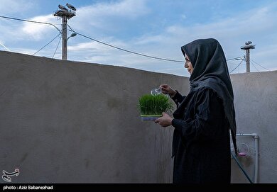 ایران زیباست | همزیستی لک لک‌ها در روستای کپر جودکی بروجرد با مردم روستا