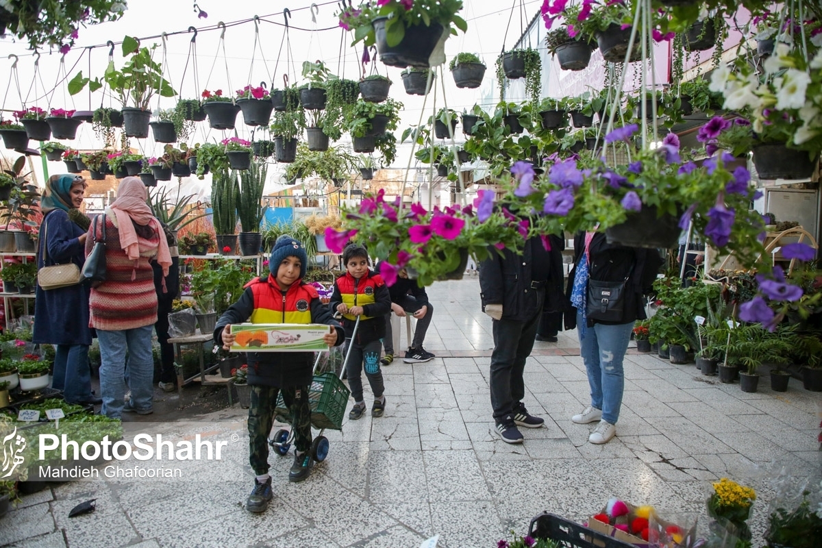 قیمت گل و سبزه در بازار مشهد در آستانه عید نوروز