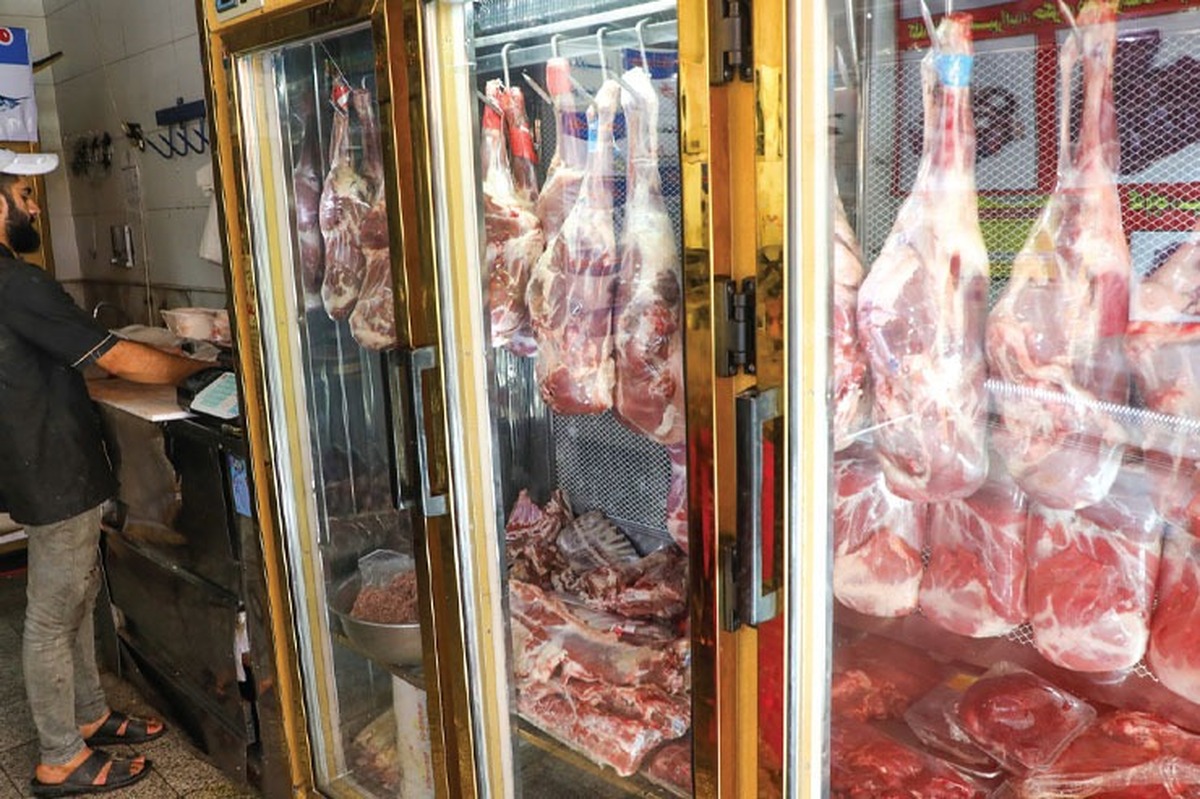 نگاهی به دلایل افزایش قیمت گوشت در بازار مشهد | از ذبح دام مولد تا گرانی خوراک دام
