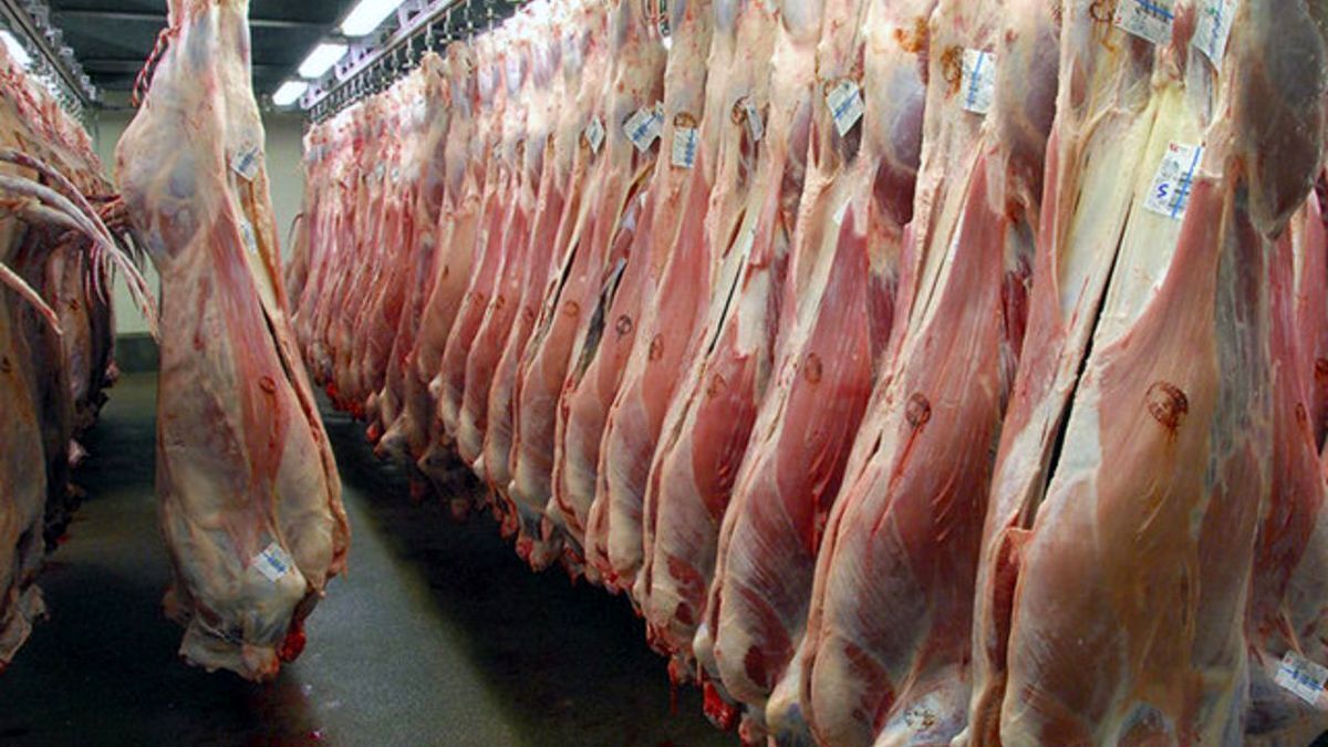 استفاده از ظرفیت ملی برای تامین گوشت در خراسان رضوی