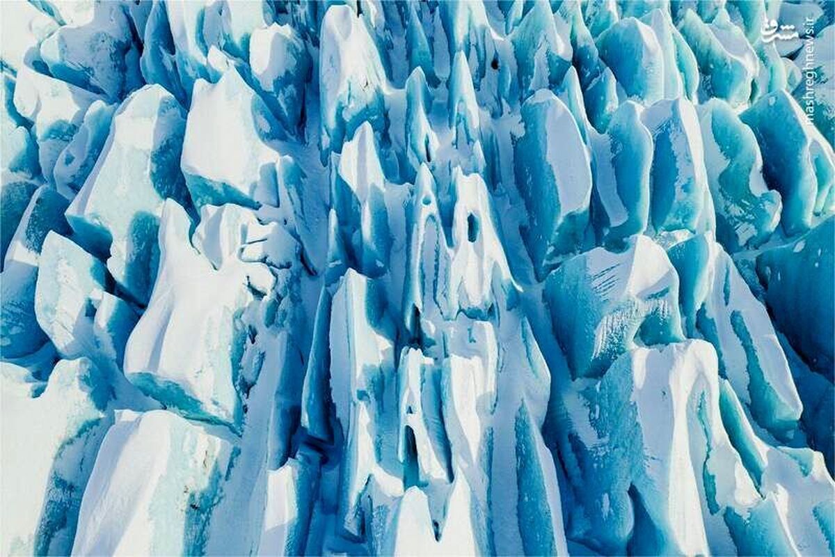 ویدئو| تصویری حیرت انگیز  از یخچال طبیعی