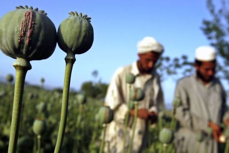 روزنامه ایران از افزایش قیمت موادمخدر در ایران پس از قانون جدید طالبان خبرداد