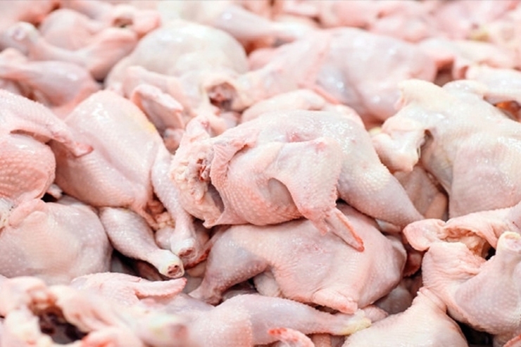 ۲۲۰ هزار تن مرغ ماهانه تولید می شود