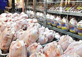 مرغ مورد نیاز کشور تأمین شده است| افزایش قیمت با شیب ملایم