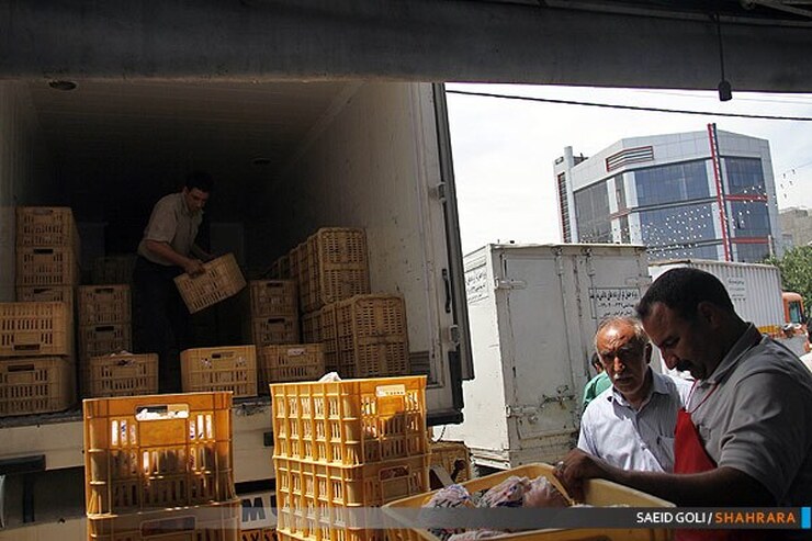 «قیمت مرغ» در بازار تهران کاهش یافت (۲۴ اردیبهشت ماه ۱۴۰۱)