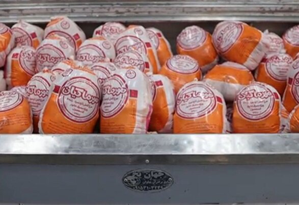 ویدئو | مرغ کیلویی ۶۰هزار تومان در بازار امروز مشهد خریدار ندارد