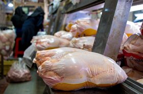 قیمت گوشت مرغ در بازار مشهد کاهش یافت | تقاضایی برای مرغ وجود ندارد (۲۶ اردیبهشت ۱۴۰۱)