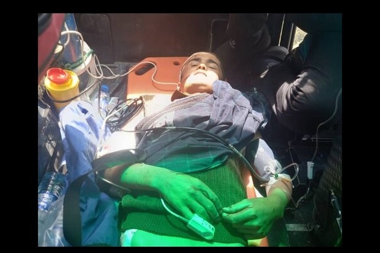 ۴خرس به مرد افغانستانی در ارتفاعات بویراحمد حمله کردند
