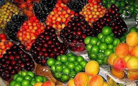 قیمت انواع میوه نوبرانه در بازار عمده‌فروشی امروز مشهد | بازار میوه تحت‌تأثیر افزایش قیمت کالاهای اساسی قرار گرفت