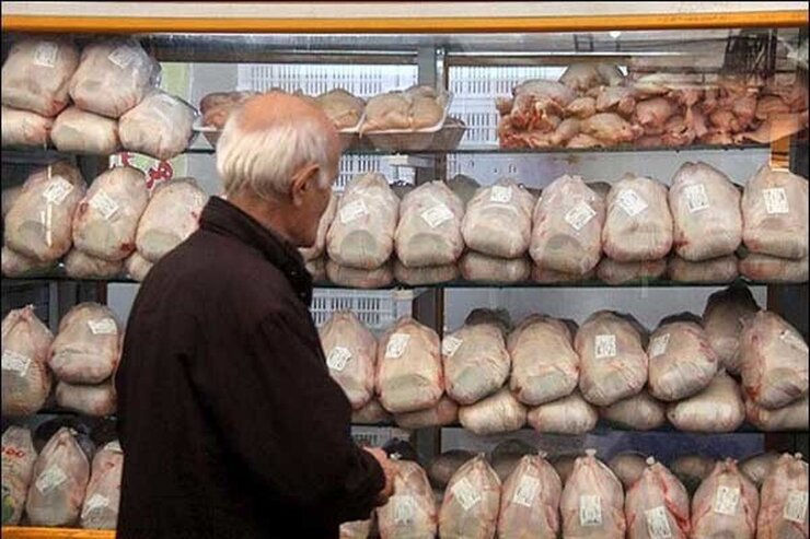 کاهش تقاضا، مرغداران را متضرر کرد |هزینه تمام شده مرغ گوشتی چقدر است؟