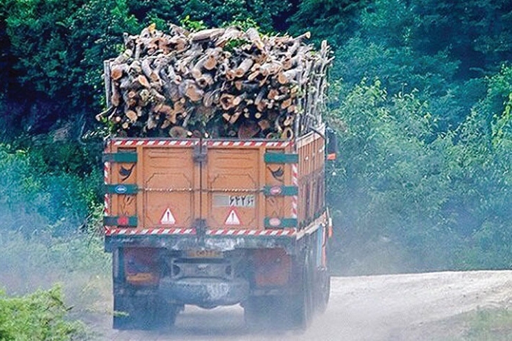 کاهش ۳میلیون هکتار از جنگل‌های کشور در ۱۶ سال!