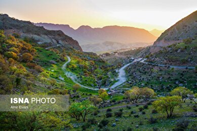 کردستان زیبا؛ طبیعت «دالاهو وریجاب»