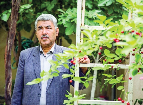 داستان خرّم آزادی یک شهر