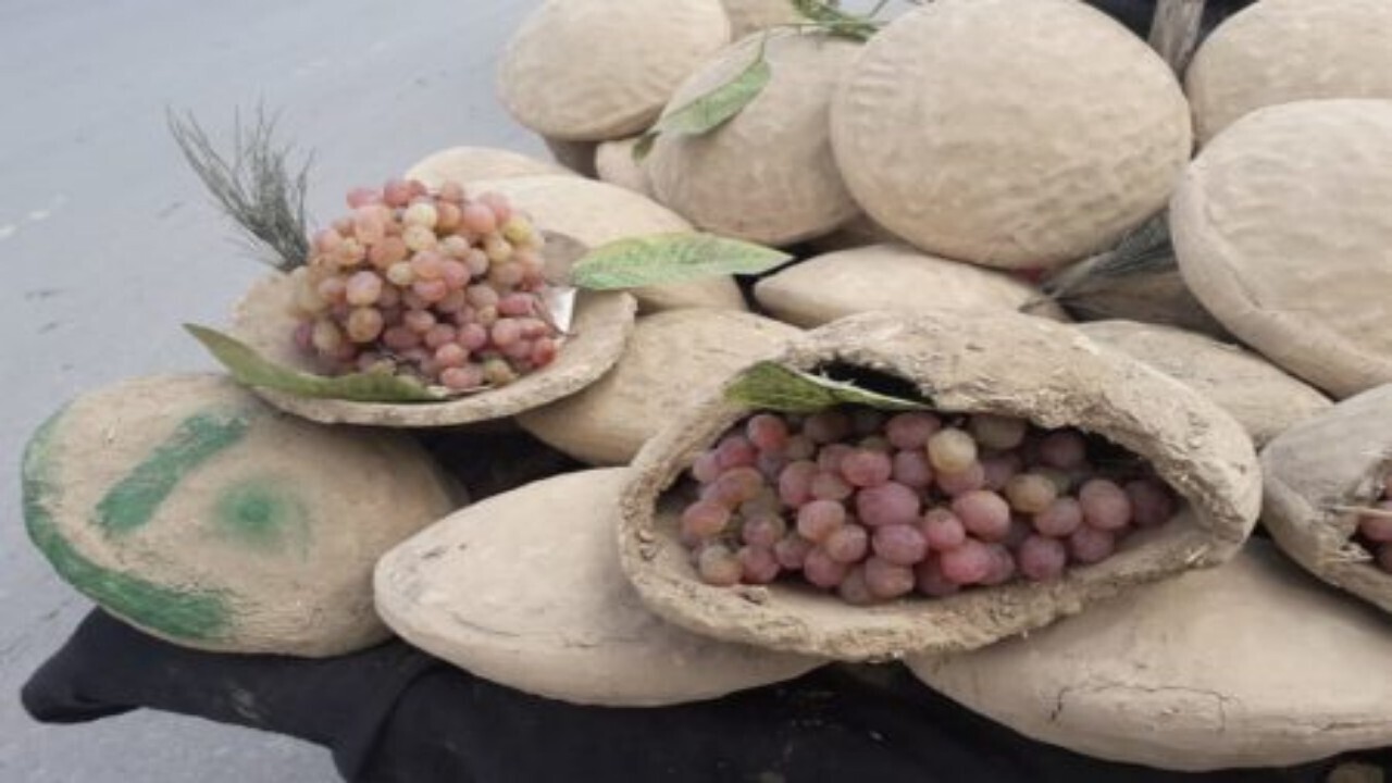 «کنگینه» روشی متفاوت برای نگهداری انگور در افغانستان + فیلم