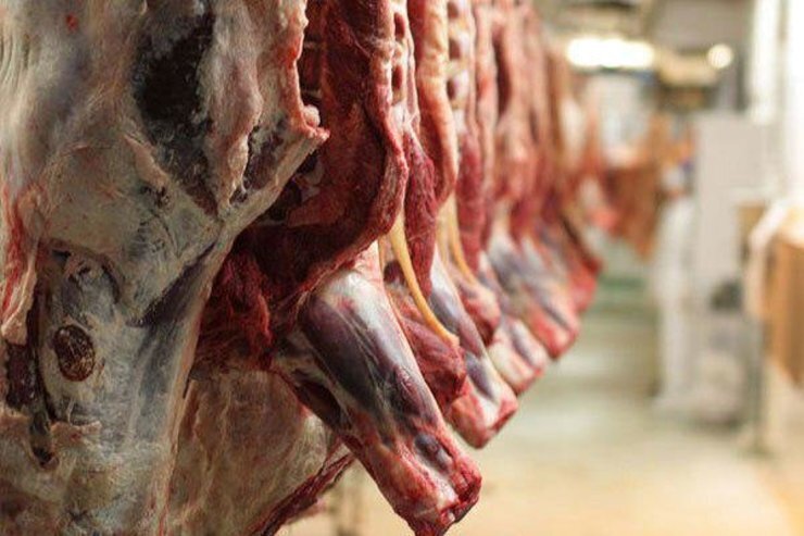 ویدئو| گوشت‌های کثیف زیر ساطور قانون