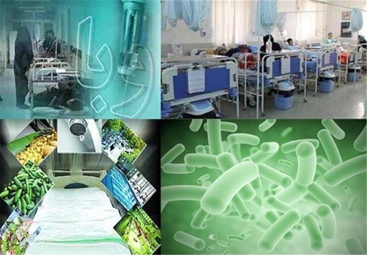 تعداد مبتلایان وبا در استان کردستان به ۳۲ نفر افزایش یافت
