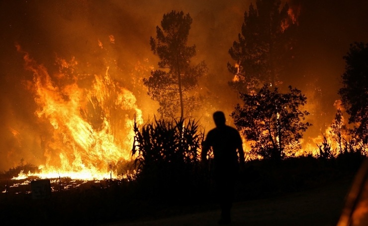 ویدئو| جنگل‌های غرق در آتش پرتغال