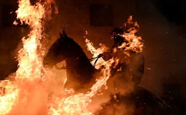 ویدئو| تلاش اسب برای نجات خانواده‌اش در میان آتش