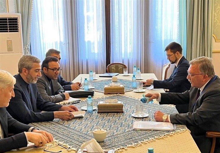 دیدار و گفتگوی مذاکره‌کنندگان ایران و روسیه در وین