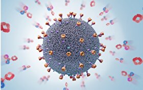 محققان آنتی‌بادی‌ جدیدی کشف کرده‌اند که می‌تواند همه سویه‌های ویروس کرونا را خنثی کند