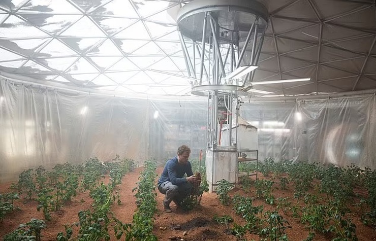 یونجه، اولین گیاهی که می‌توانیم در مریخ بکاریم