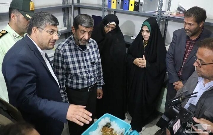 تصاویر دیدنی از جام زرین باستانی مشگین شهر