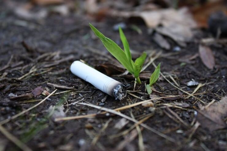 اینفوگرافی| مضرات فیلتر سیگار بر محیط زیست