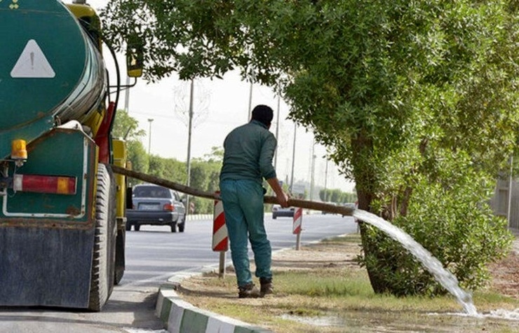 شهروند خبرنگار | درخواست آبیاری درختان در کوچه های فرعی مشهد + پاسخ