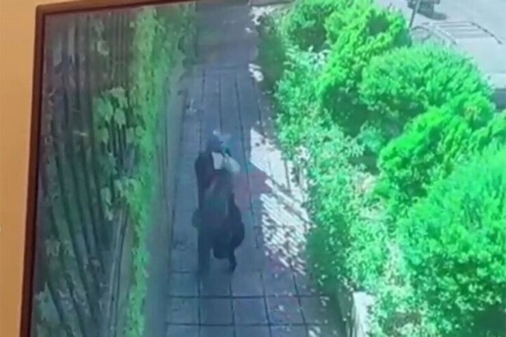 ویدئو| خفتگیری وحشیانه از یک دختر جوان در تهران