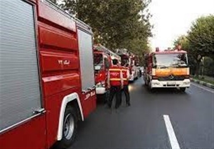 وقوع آتش‌سوزی در پارک ارم تهران + فیلم