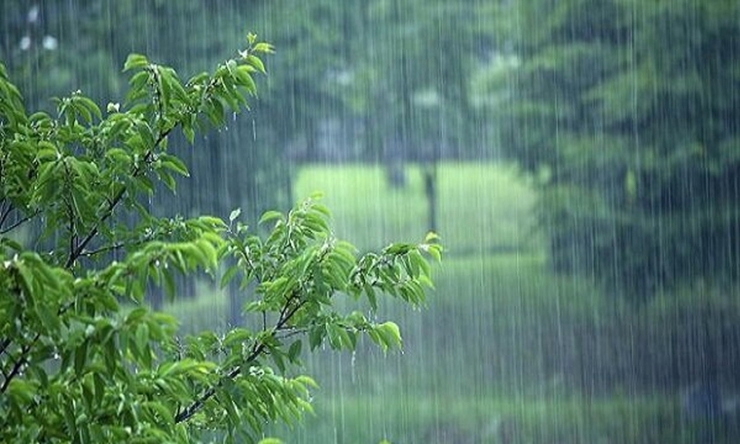 بارش باران و کاهش دما در ۵ استان شمالی کشور
