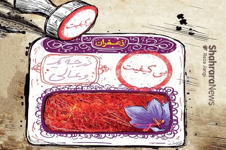 کارتون | ۸۰ فروشنده غیراستاندارد زعفران در مشهد شناسایی شده‌اند