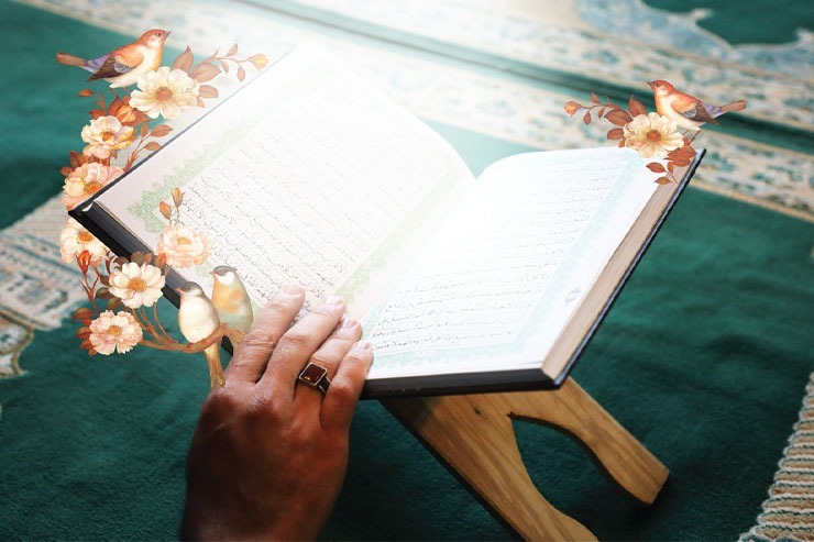 گزارشی از آنچه درباره قرآن در سنت و کلام معصومین (ع) آمده است | پناه مؤمنان در تاریکی دنیا