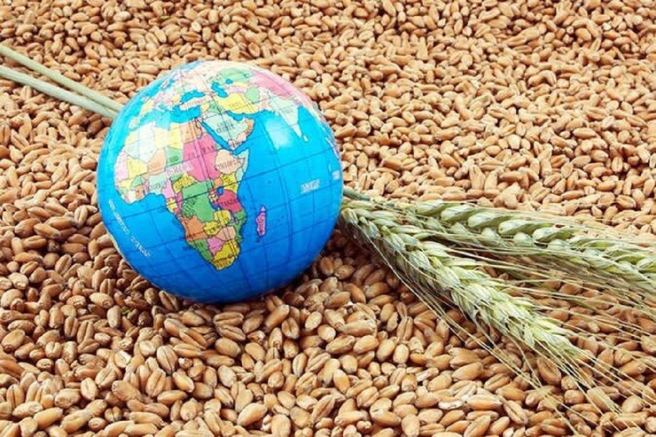 بحران جهانی مواد غذایی | آیا قیمت محصولات غذایی در ایران هنوز جا برای افزایش دارد؟
