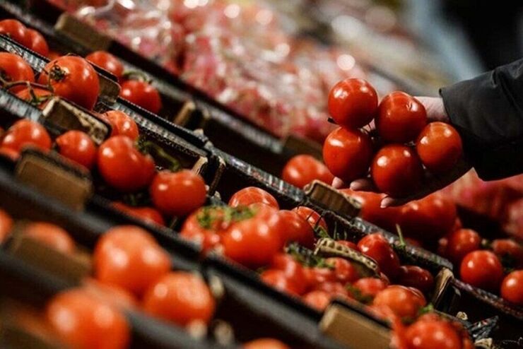 علت افزایش قیمت پیاز و گوجه فرنگی اعلام شد