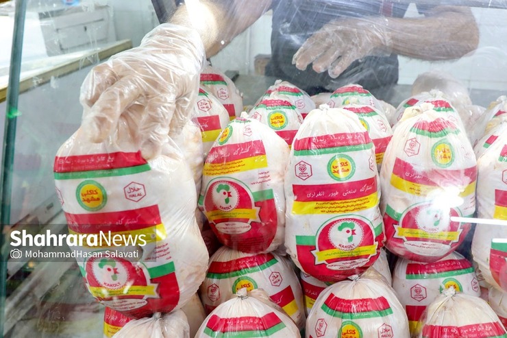افزایش مجدد قیمت مرغ و پرش از سفره خانوار